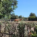 Santa Igia -