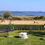 Santa Igia - Elmas