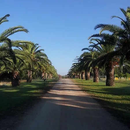 Santa Igia - 3* Elmas