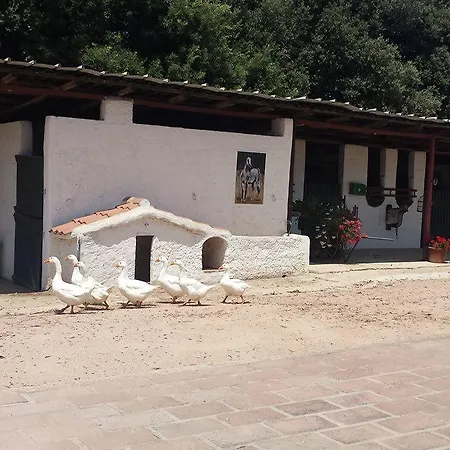 Santa Igia - Elmas