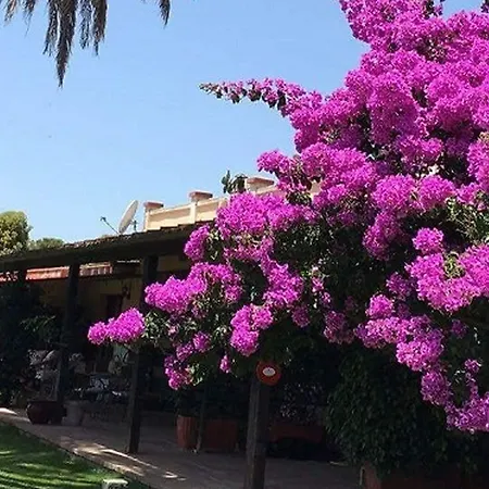 Santa Igia - Bed & Breakfast Elmas