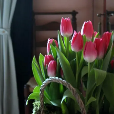 Bed & Breakfast Santa Igia - 3*