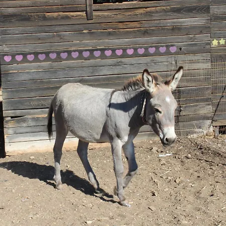 Bed & Breakfast Santa Igia - 3*