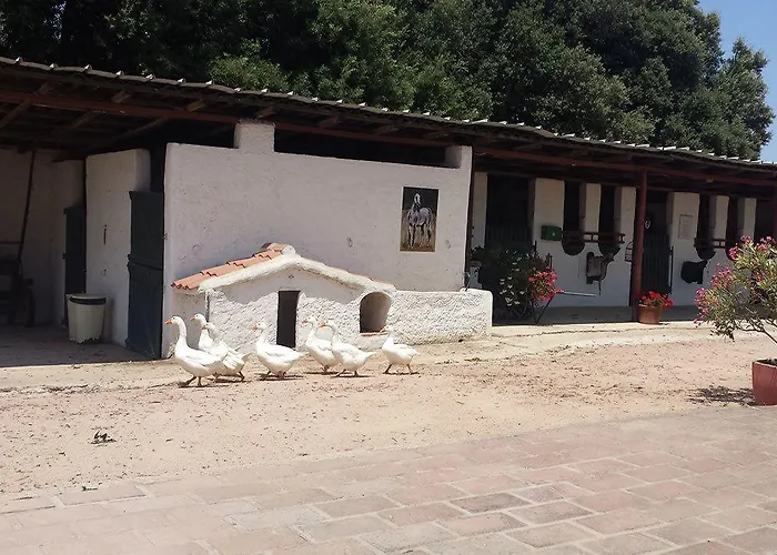 Santa Igia - Elmas